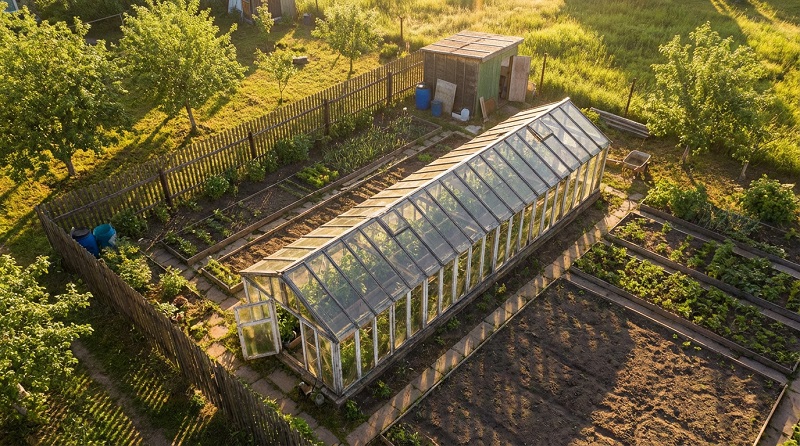 ����� ���������� ������� �� �������� ����� �� ������ �������